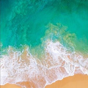 Meet your Posher, Josh